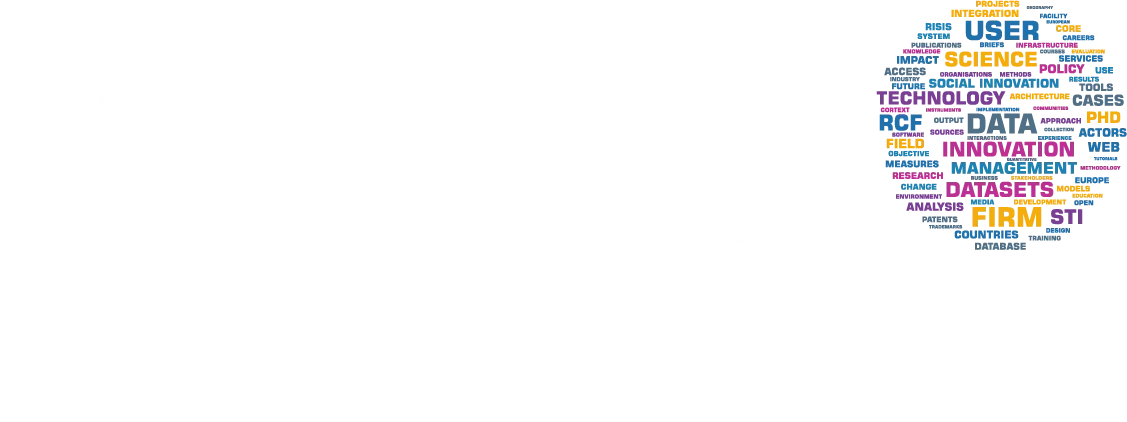 Logo RISIS bianco