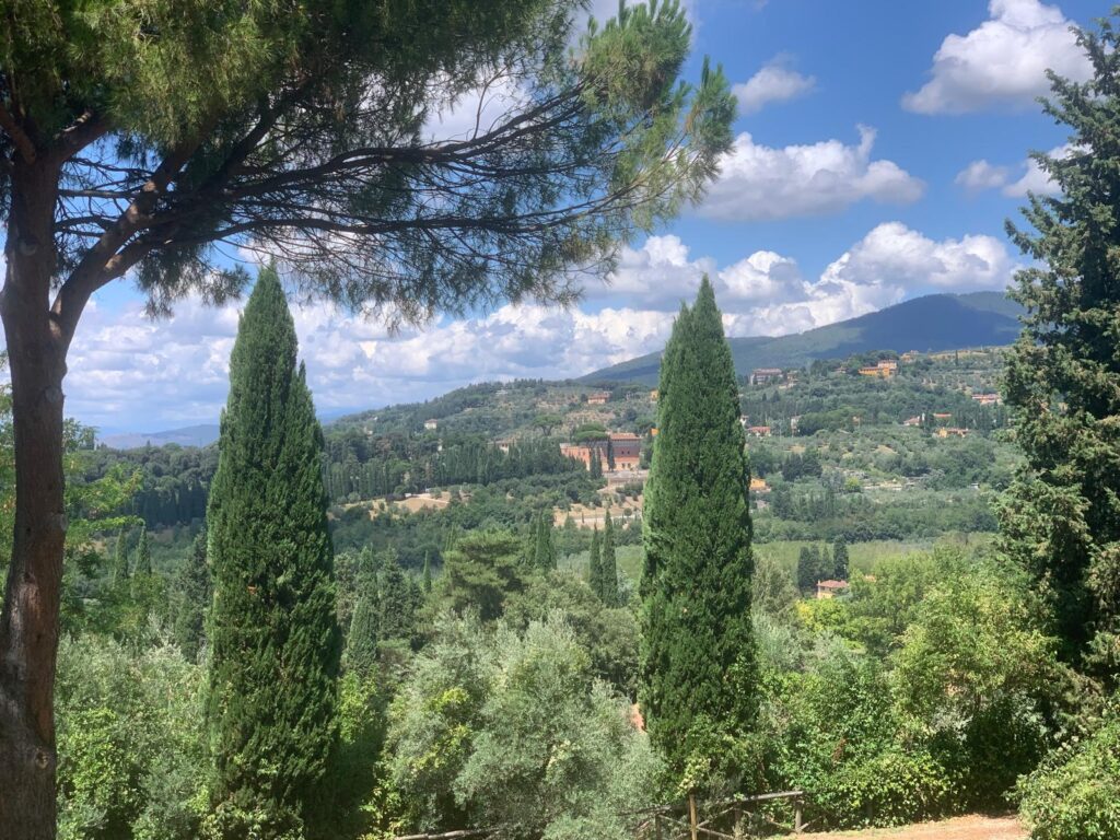 WhatsApp Image 2025 07 26 at 17.19.02 (1)