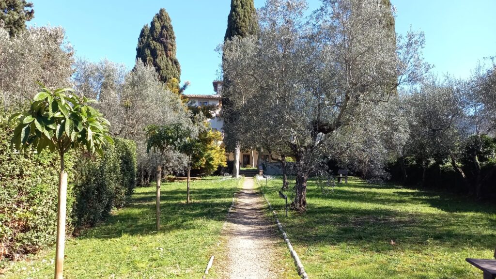 WhatsApp Image 2025 10 27 at 16.52.23 (3)